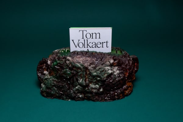 Tom Volkaert, Selfportrait #6, 2020