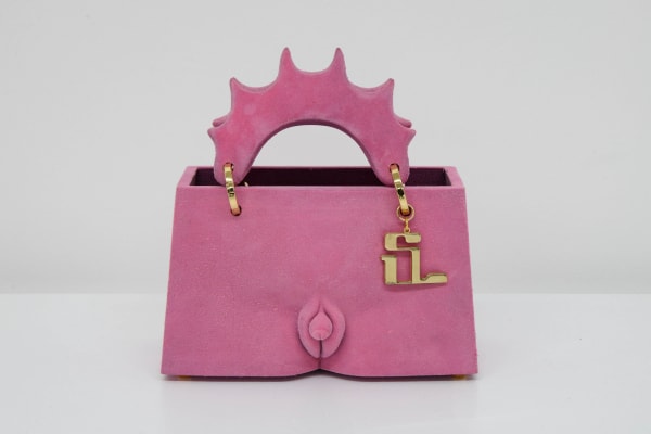 Stef Van Looveren, DPA bag, pink (intersex), 2020