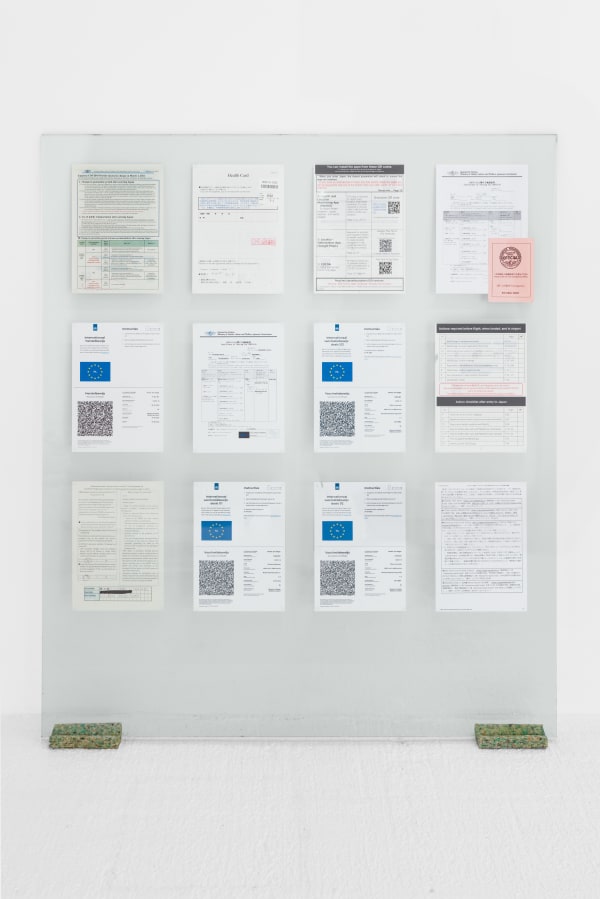 Ciro Duclos, Covid document, 2022