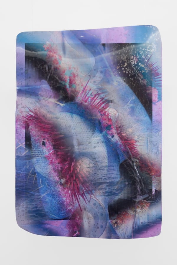 Estrid Lutz, Ecotones, 2020