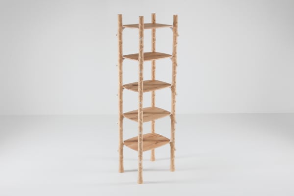 Schimmel & Schweikle, Branch-ish shelf, 2020