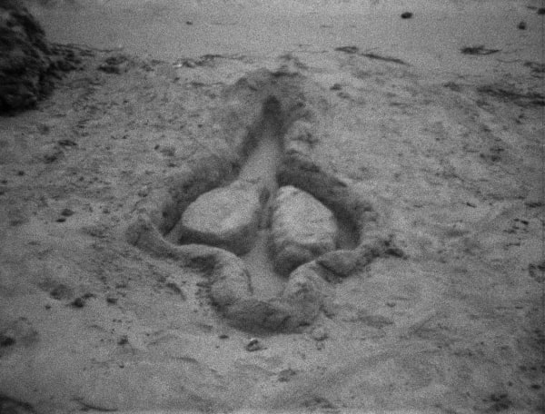 Ana Mendieta, Untitled, 1981