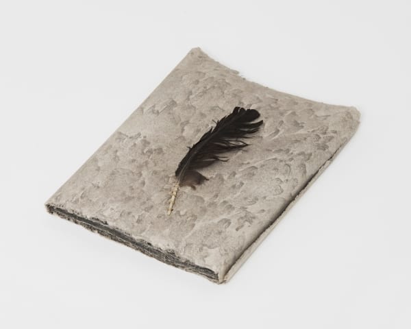 Michelle Stuart, Wind Book: Tikal, 1978