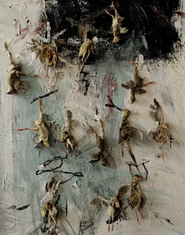 Saul Fletcher, Untitled #169 (Babies), 2004