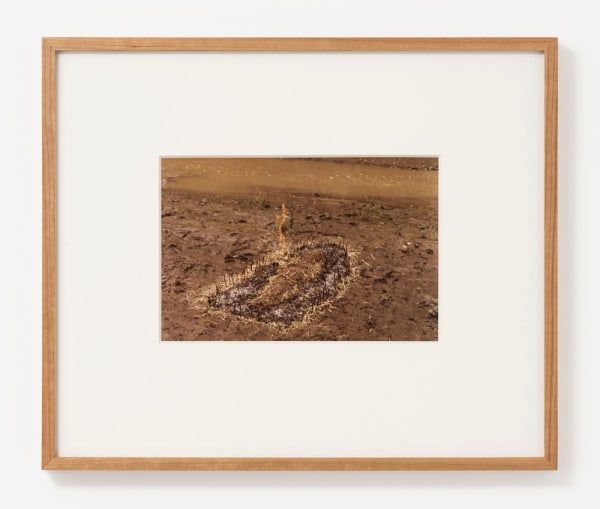 Ana Mendieta, Untitled: Silueta Series (Figure with Hay Burned), 1977