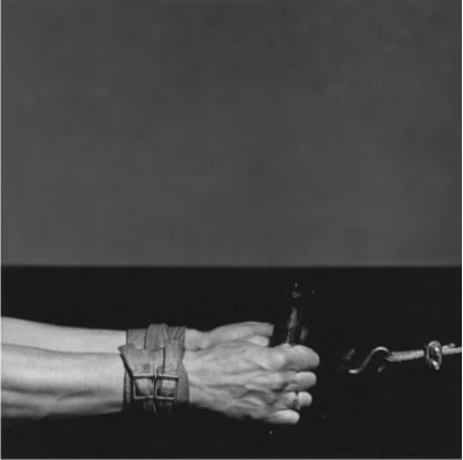 Robert Mapplethorpe, Lisa Lyon, 1982