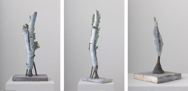 Cecilia Edefalk, Birch, 2011