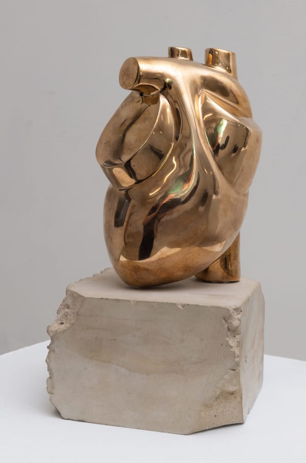 Armando Franco, Calcificacion Corazonal Pt 1, 2022