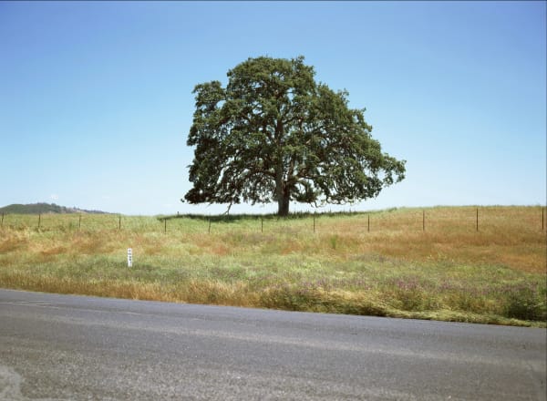 Ken Gonzales-Day McCready Way Co., 2005-printed 2022