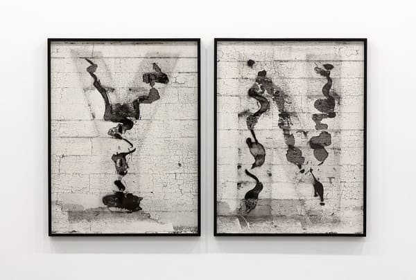 Shannon Ebner, Y and not Y, N and not N, 2013