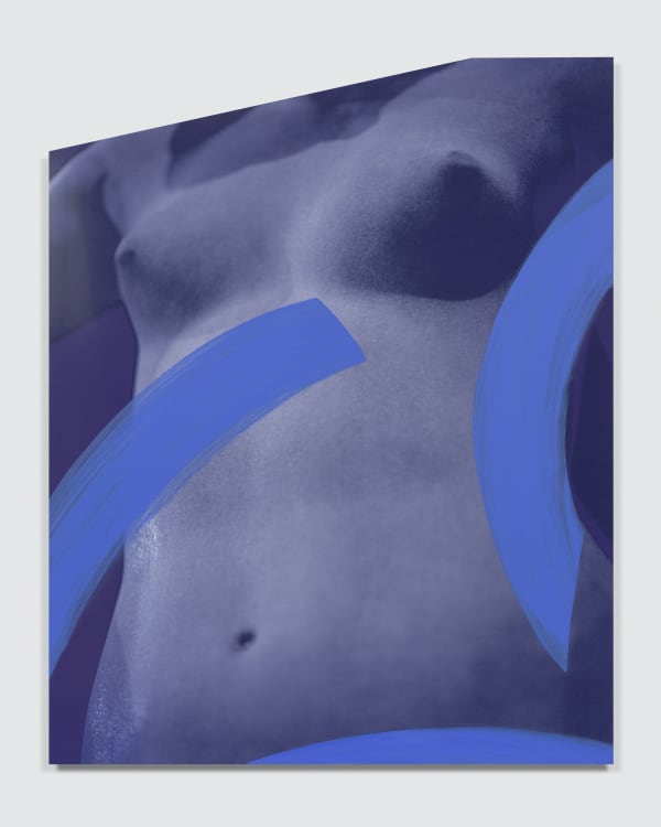 Sara VanDerBeek Roman Circles I, 2021 Dye sublimation print mounted on aluminum, acrylic paint 60 1/4 x 48 1/4 x 3/4 in 153 x 122.6 x 1.9 cm