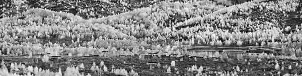 Richard Mosse, Camp Gerakini, Malakasa, Eastern Attika, Greece, 2017