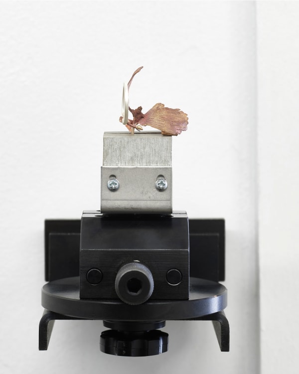 K.R.M. Mooney Eutectic c. (i), 2020 Specialized jewelers vise, insulation, cast mistletoe, silver, steel, bronze 7 x 4 1/4 x 7 1/2 in 17.8 x 10.8 x 19.1 cm