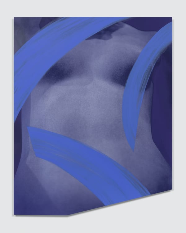 Sara VanDerBeek Roman Circles II, 2021 Dye sublimation print mounted on aluminum, acrylic paint 60 1/4 x 48 1/4 in 153 x 122.6 cm