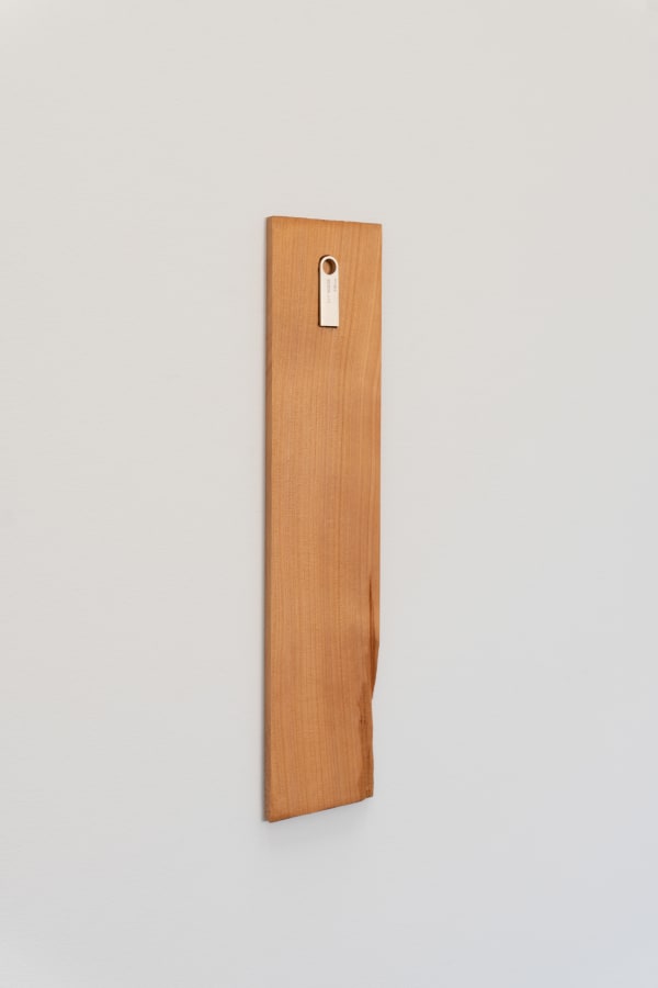 McIntyre Parker 2022 Cypress, flash drive, mp4 file 13 x 2 7/8 x 3/8 in 33 x 7.3 x 1 cm Edition of 4 plus 2 artist's proofs