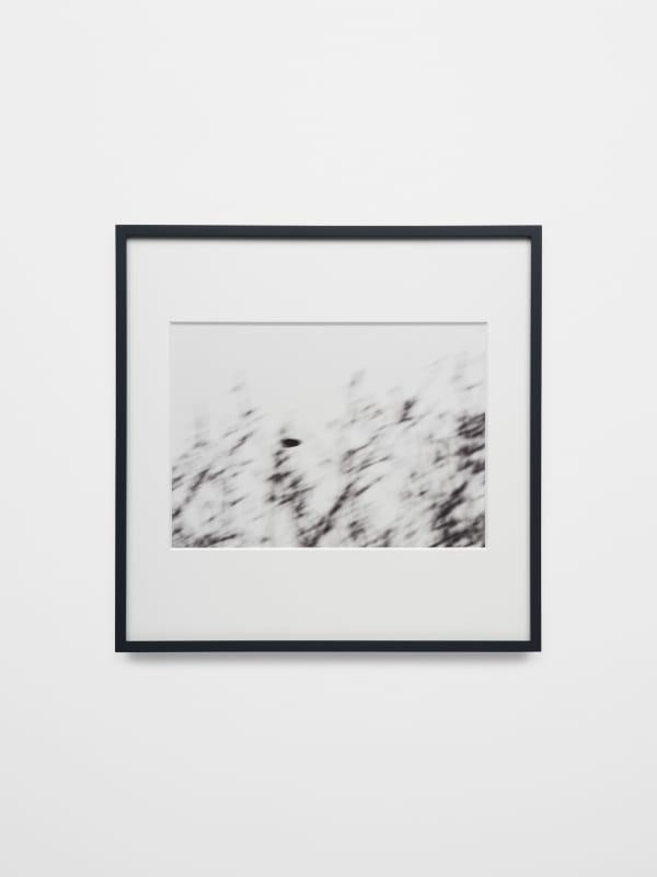 Trevor Paglen, Near Cemetery Road (undated), 2024