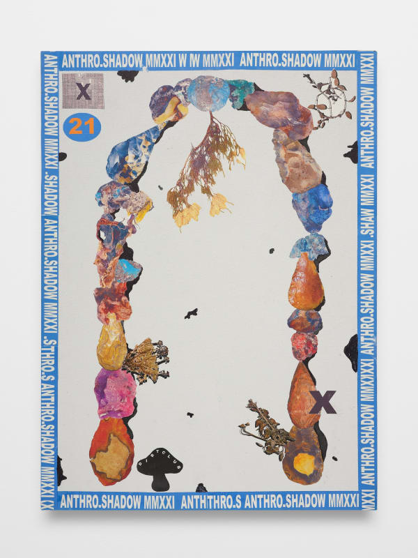 Dylan Roberts Anthro.Shadow, 2021 Heat transfer, ink on canvas 30 x 20 x 1 3/4 in 76.2 x 50.8 x 4.4 cm