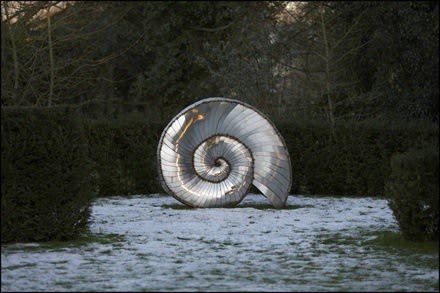 Clare Tupman, Ammonite
