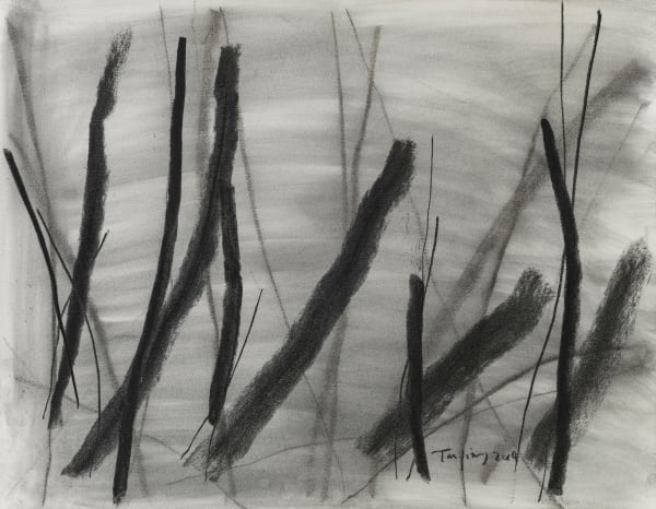 Tan Ping 譚平, Drawing 素描, 2013