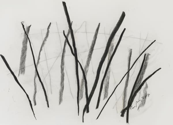 Tan Ping 譚平, Drawing 素描, 2014