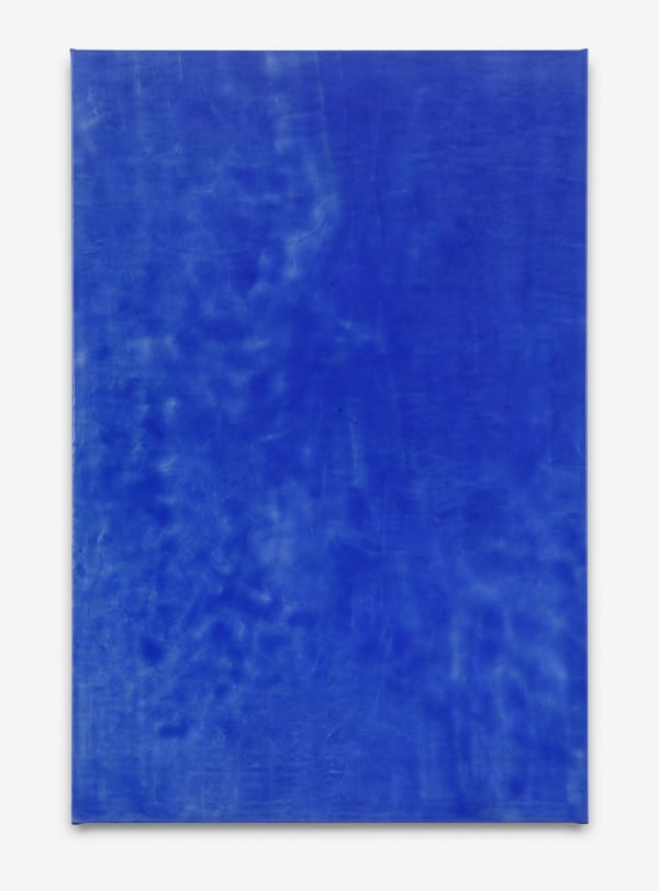 Juliette Bonneviot, Blue Xenoestrogens, 2015