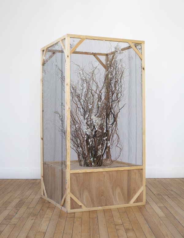Annie Ratti, Silk moth enclosure, 2020