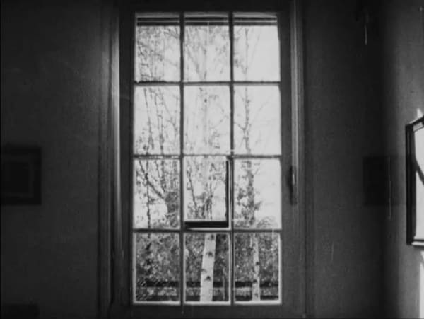Paolo Gioli, Finestra Davanti a un Albero, 1989