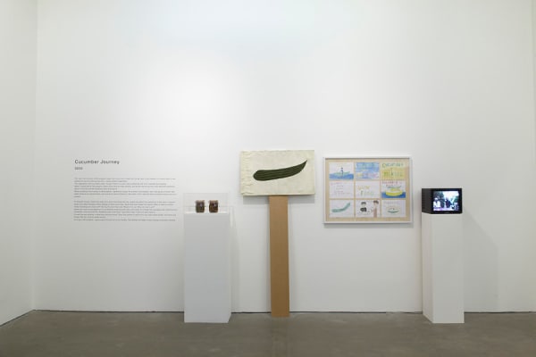 Shimabuku, Cucumber Journey, 2000