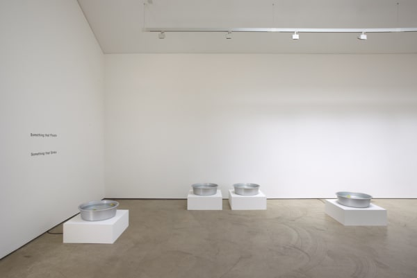 Shimabuku, Something that Floats / Something that Sinks, 2010