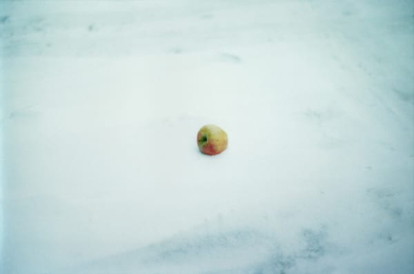 Shimabuku, Apple, 2010