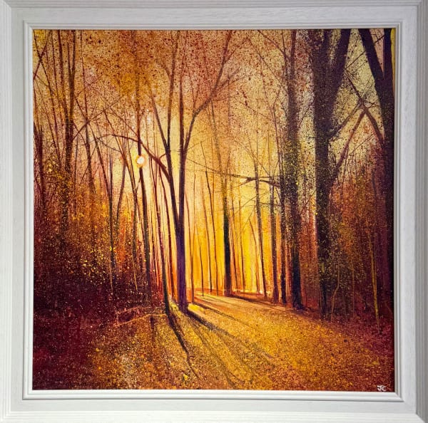 John Connolly, Walk To The Golden Light