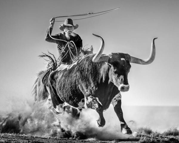 David Yarrow, Ain't My First Rodeo