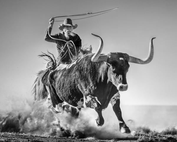 David Yarrow, Ain't My First Rodeo