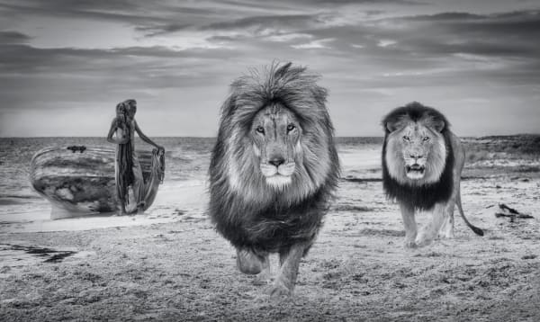 David Yarrow, The Old Man and the Sea
