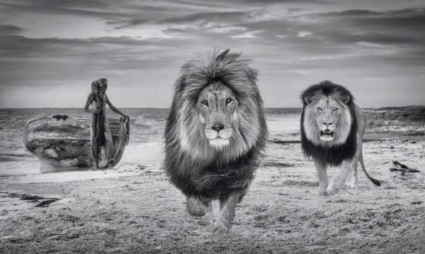 David Yarrow, The Old Man and the Sea