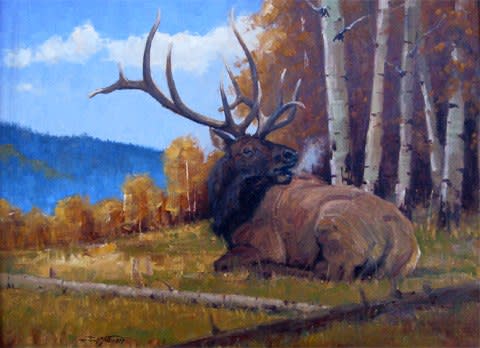 John Demott, Elk