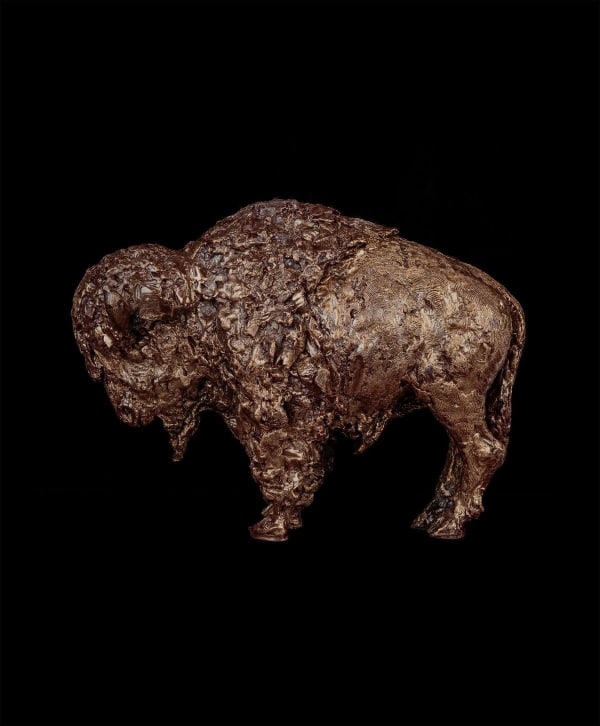 Gib Singleton, Bison