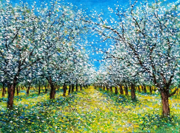 James Scoppettone, Almond Blossoms in the Spring