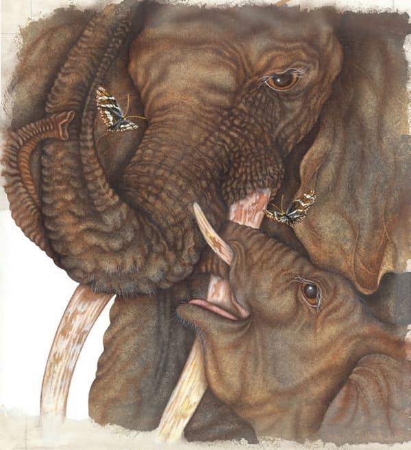 Luis Sottil, Sanctuary Eggshell Series