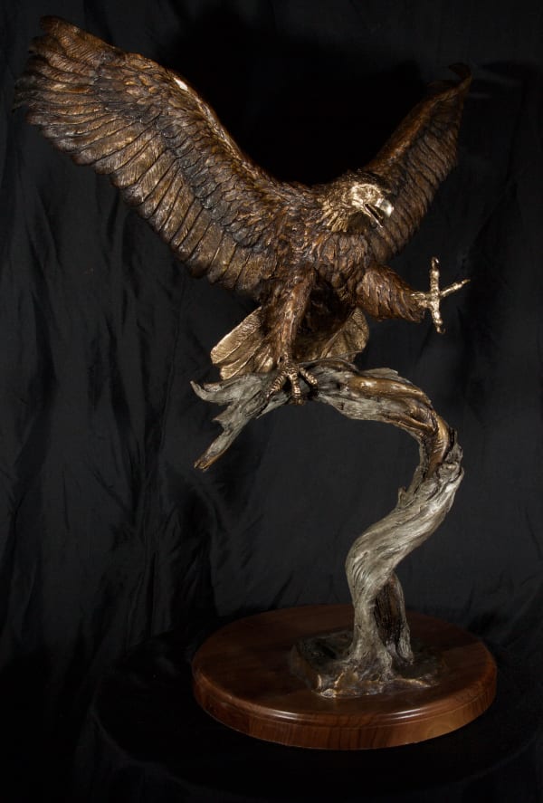 Laran Ghiglieri, Bold Spirit