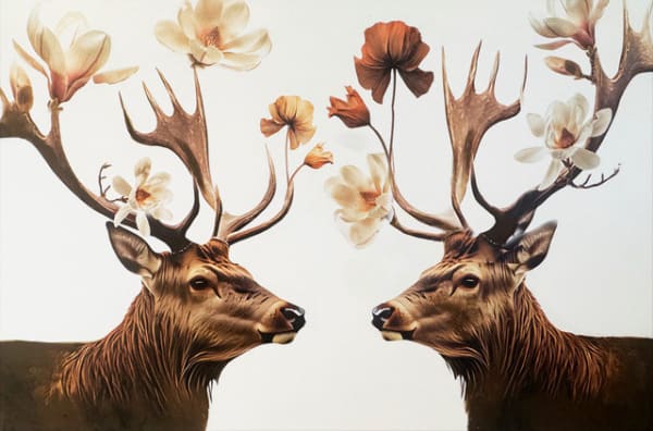 Anke Schofield, In the Field with Elk