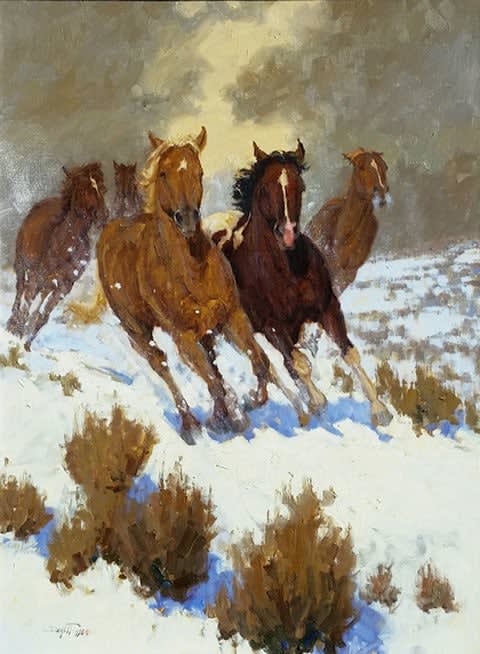 John Demott, Wild