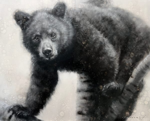 David Riley, The Lookout