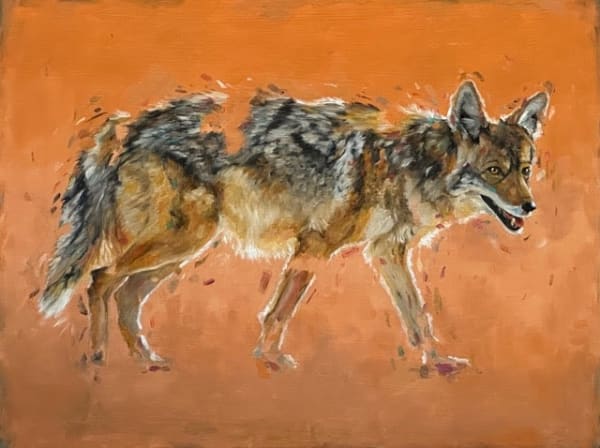 Doug Behm, Broken Coyote