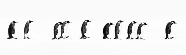 David Yarrow, The Long March