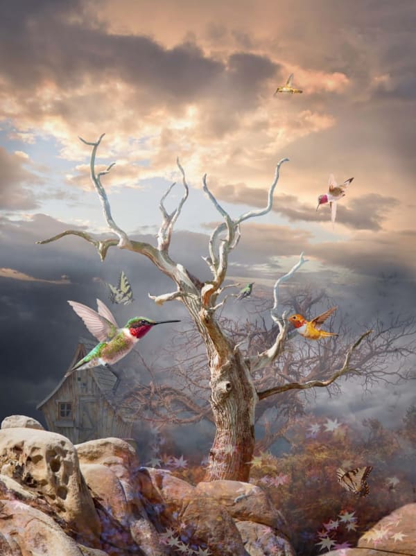 Antal Goldfinger, Nectar of the Gods