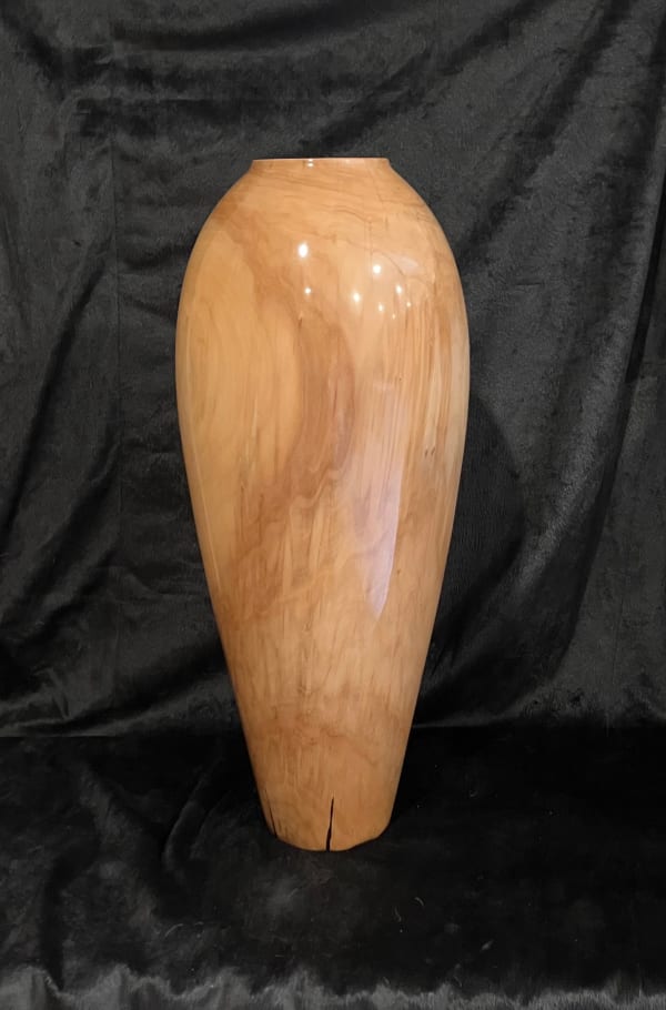 Randy Anderson, Pantano de Sauces