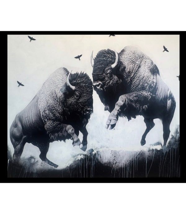 Anke Schofield, Buffalo stance