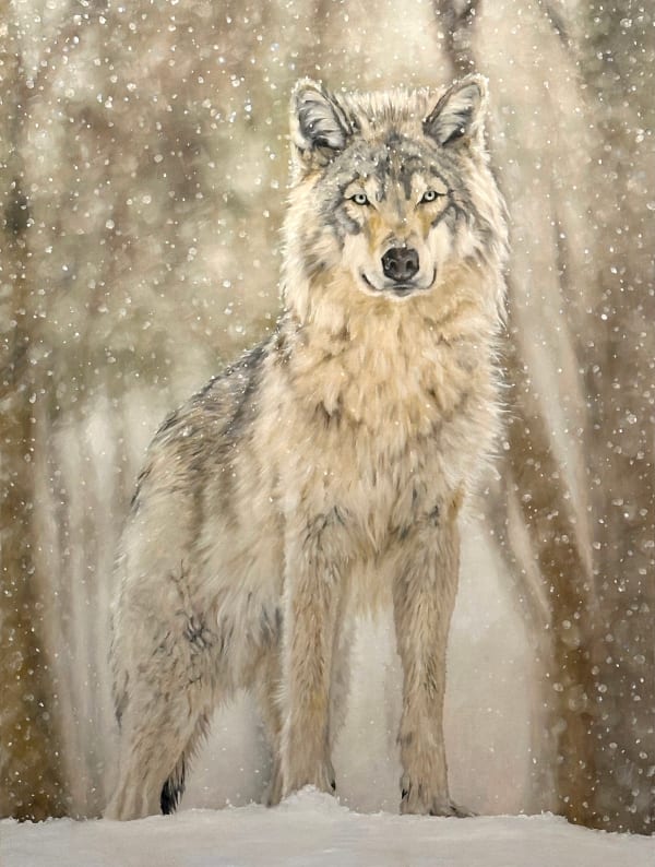 Doug Behm, Winter Wolf