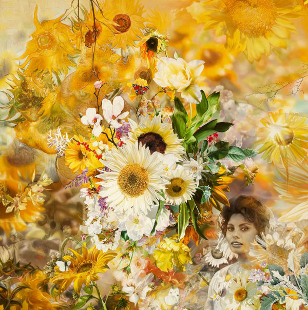 Antal Goldfinger, Sunflower 1956